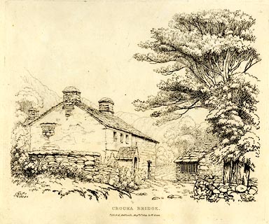 image, button to large image