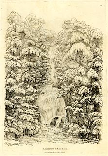 image, button to large image