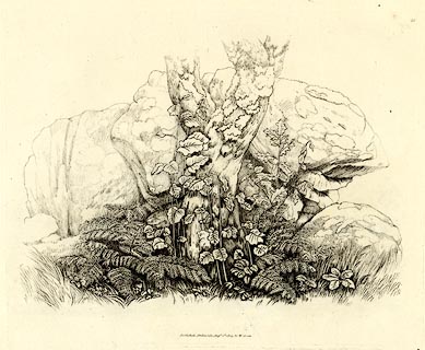 image, button to large image