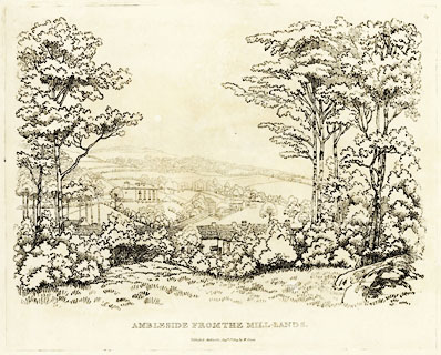 image, button to large image