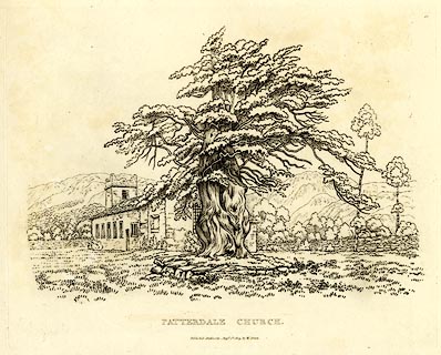 image, button to large image