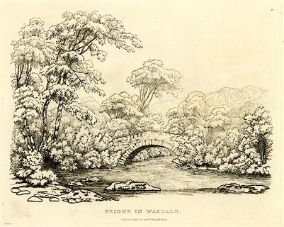 image, button to large image