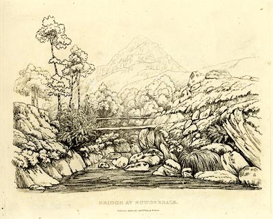 image, button to large image