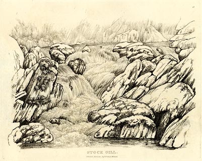 image, button to large image