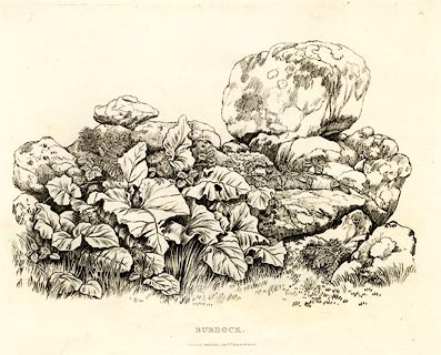 image, button to large image