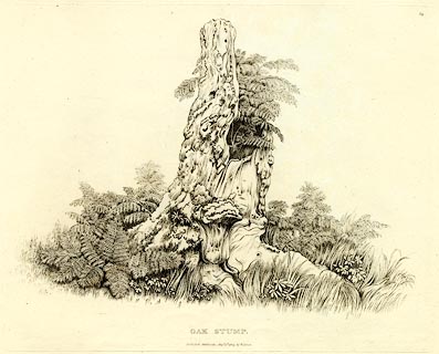 image, button to large image