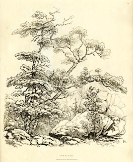 image, button to large image