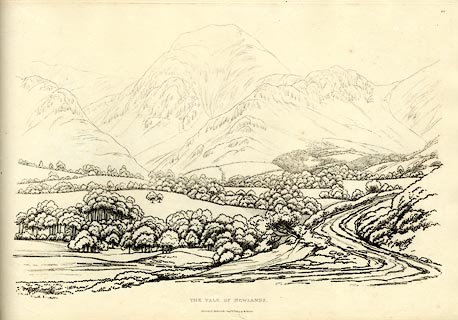 image, button to large image