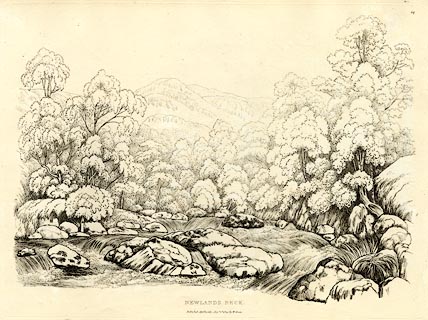 image, button to large image