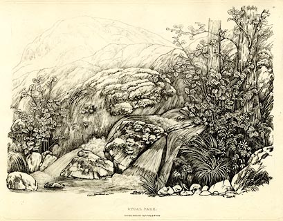 image, button to large image