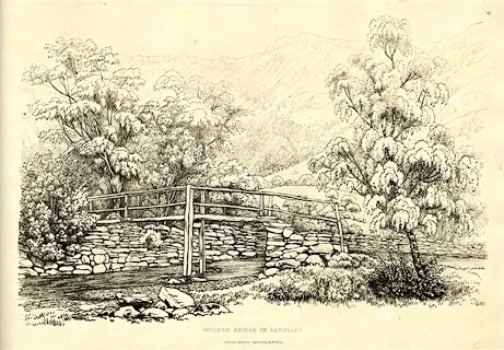 image, button to large image