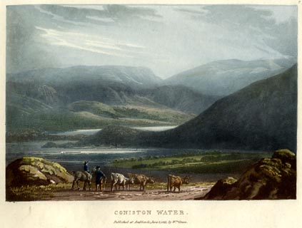 image, button to large image