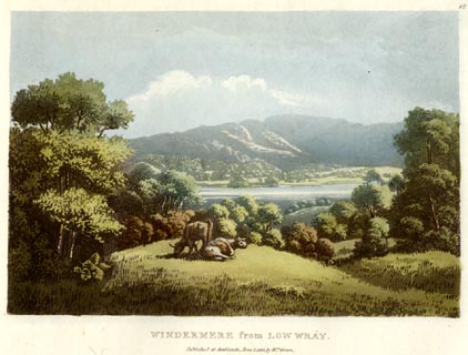 image, button to large image