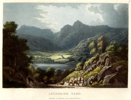 image, button to large image