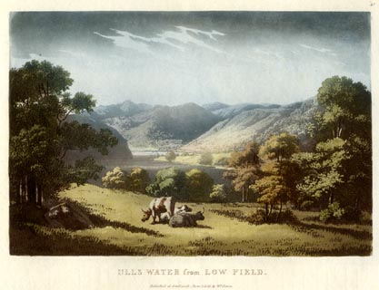 image, button to large image