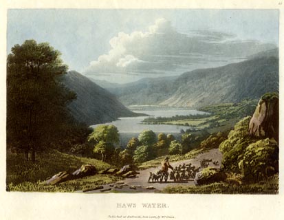 image, button to large image