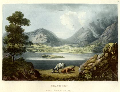 image, button to large image