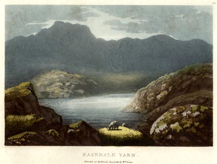 image, button to large image