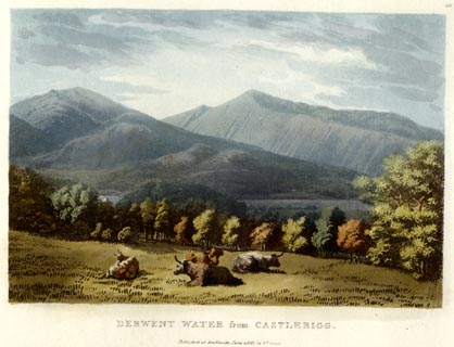 image, button to large image