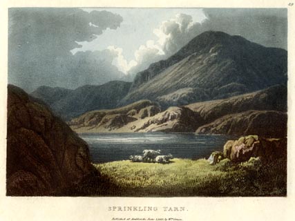 image, button to large image