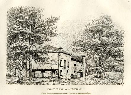 image, button to large image