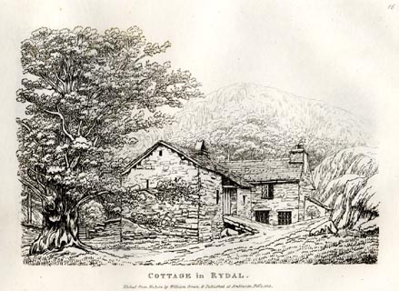 image, button to large image