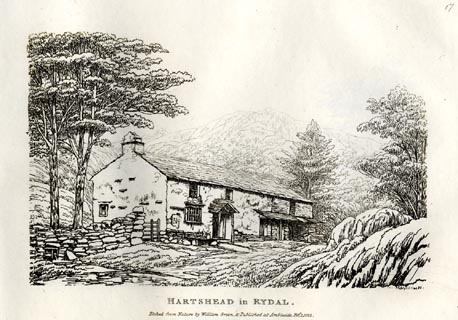 image, button to large image