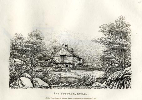 image, button to large image