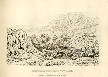 image, button to large image