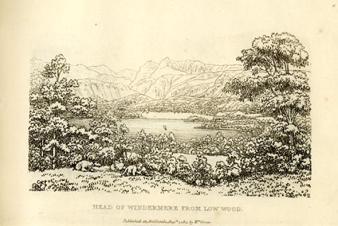 image, button to large image