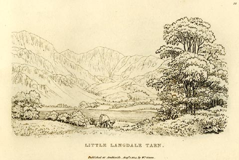 image, button to large image