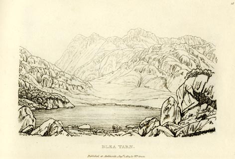 image, button to large image