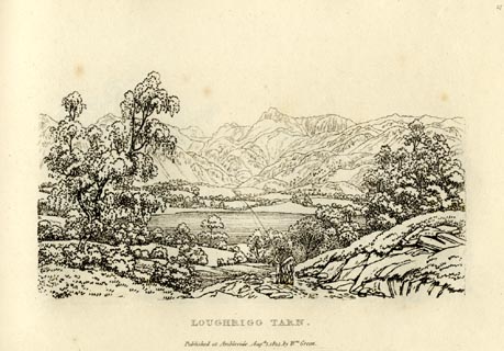 image, button to large image