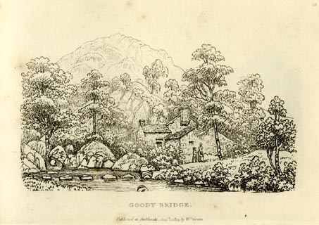 image, button to large image