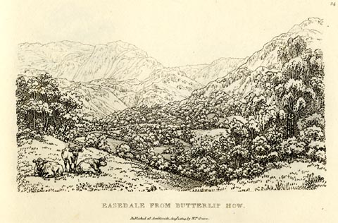 image, button to large image