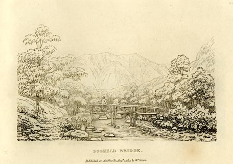 image, button to large image