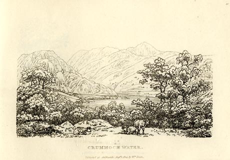 image, button to large image