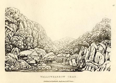 image, button to large image