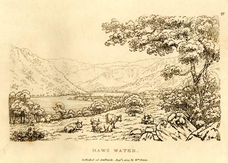 image, button to large image