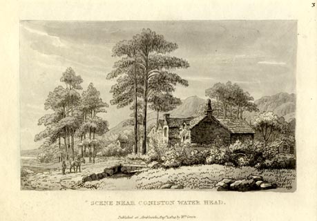 image, button to large image