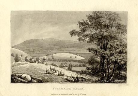 image, button to large image