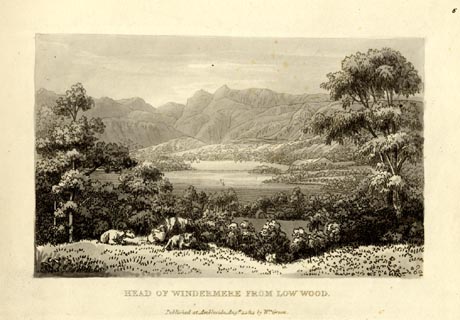 image, button to large image