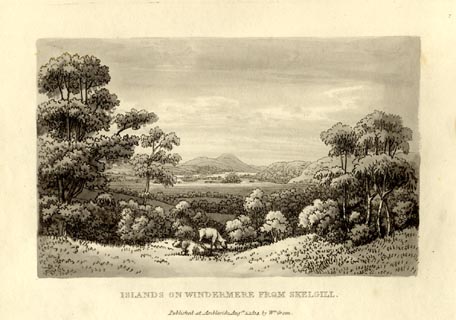 image, button to large image