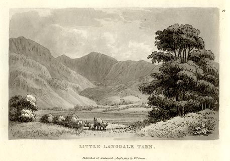 image, button to large image