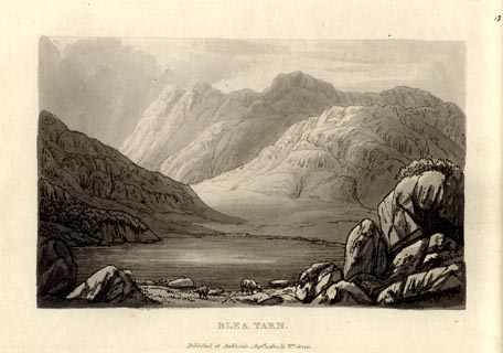 image, button to large image