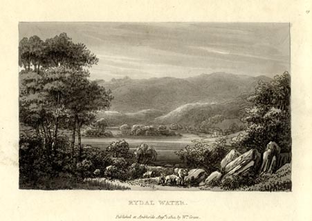 image, button to large image