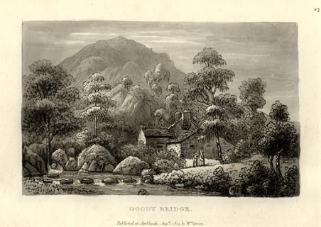 image, button to large image