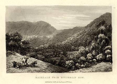 image, button to large image