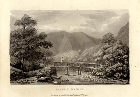 image, button to large image