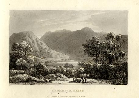 image, button to large image